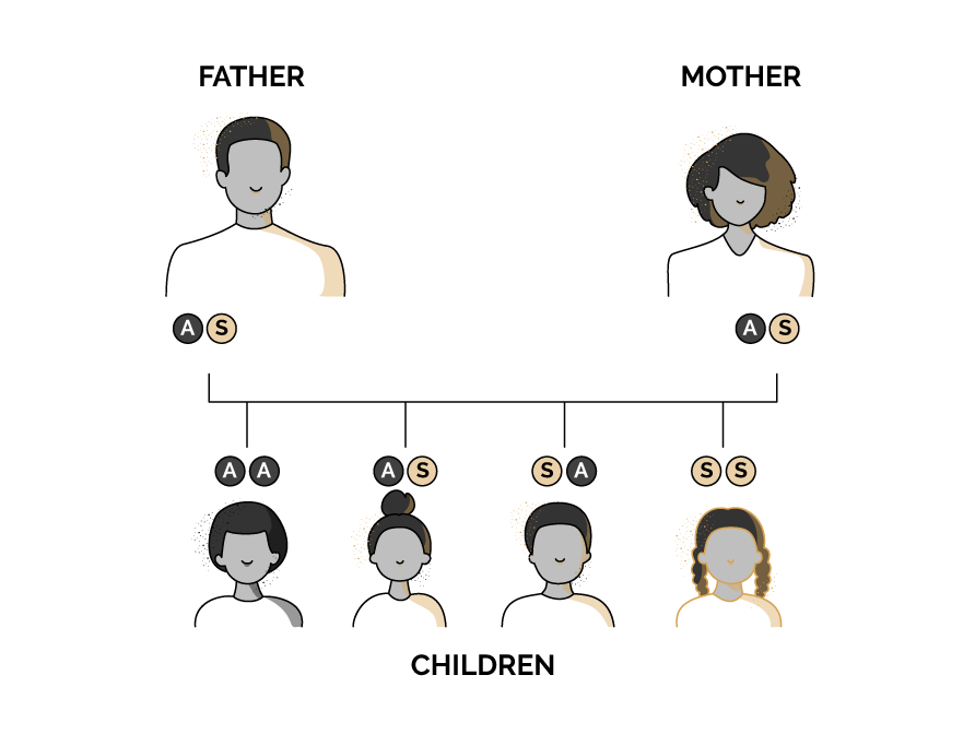 Chart showing sickle cell inheritance pattern