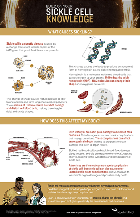 Spark Sickle Cell Knowledge Infographic