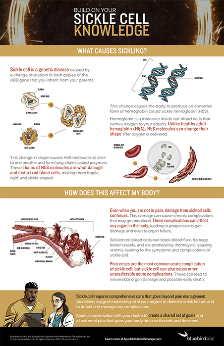 Spark Sickle Cell Knowledge Infographic 
